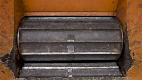 Tree Crusher Video stock 208886341