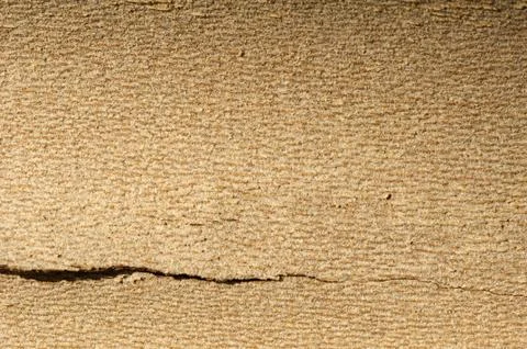 Tree crust close up Foto stock