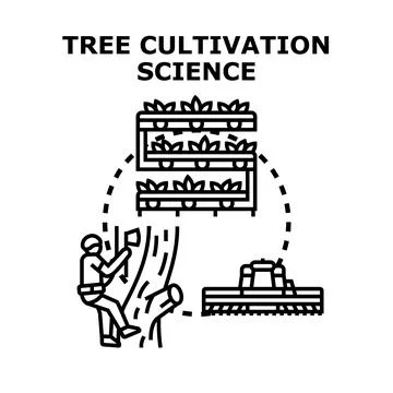 Tree cultivation science developing modern forestry and agriculture Stock Illustration