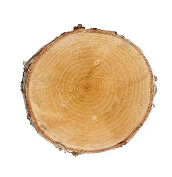 Tree cut Stock Photos