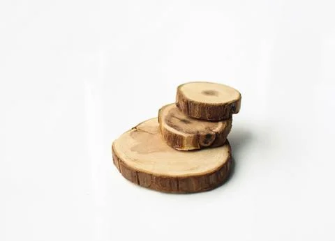 Tree Cut Samples are isolated on a white background Stock Photos