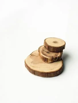 Tree Cut Samples are isolated on a white background Stock Photos