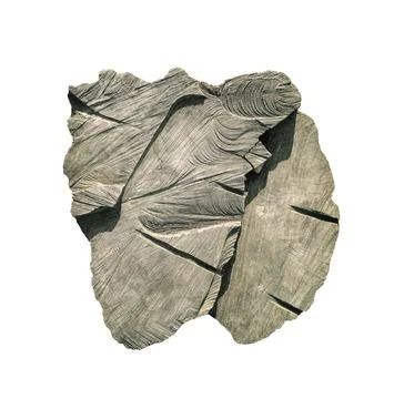 Tree cut trunk 스톡 사진