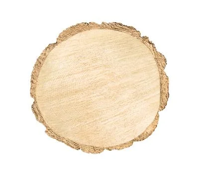 Tree cut trunk 스톡 사진