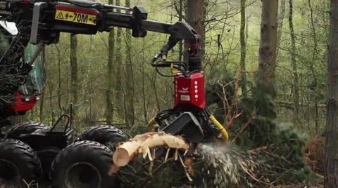Tree cutter : Timber Logging Harvester, Version 4 Stock Footage