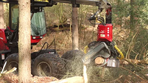 Tree cutter : Timber Logging Havester : Skidder, Version 2 Stock Footage 33638353