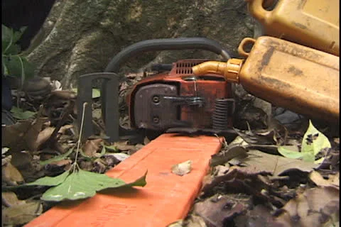 Tree cutting in the Amazon Stock Footage 24265969