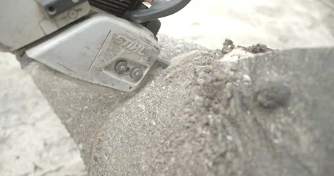 Tree cutting in the amazon Stock Footage 151368154