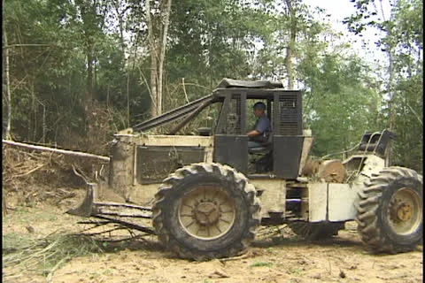 Tree cutting in the Amazon. Skidder. Stock Footage 24268411