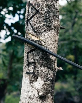 Tree cutting with bill hook, deforestation concept. Foto stock