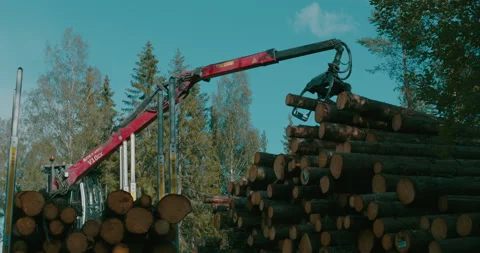 Tree Cutting Machine Truck Video stock 169305383