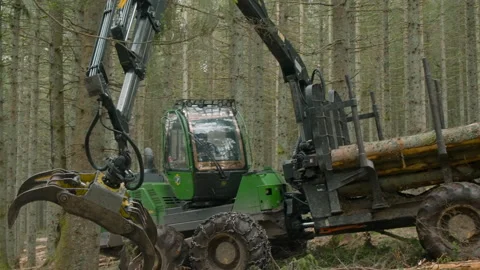 Tree cutting vehicule charging tree trunks - Slowmotion Stock Footage 162477319