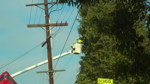 Tree cutting work area  Video stock 314463141