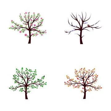 Tree cycle showing four seasons nature illustration Stock Illustration
