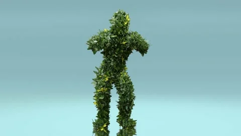 Tree Dancing. plant character, Chicken Dance,  Hokey Pokey, Stock Footage 172057446