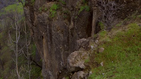 Tree on a dangerous cliff Stock Footage