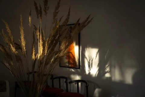 A tree in a dark room Stock Photos