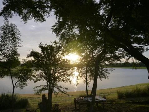 Tree dark sunset lightdown sky Stock Photos