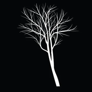 Tree with dead branch Stock Illustration