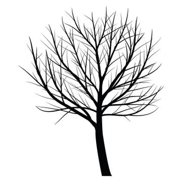 Tree with dead branch Stock Illustration