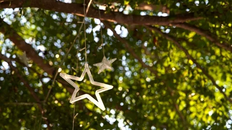 Tree decorate with hanging star, 4K Stock Footage 107428138