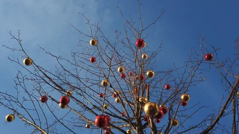 A tree decorated with Christmas bulbs Stock Footage 125607276