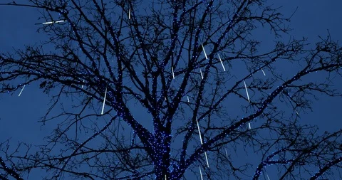 Tree decorated for Christmas Stock Footage 122603268