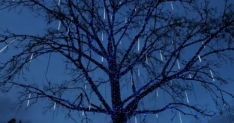 Tree decorated for Christmas Stock Footage 122603290