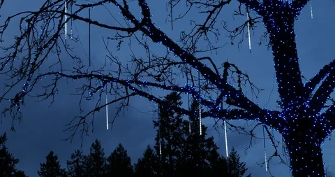 Tree decorated for Christmas Stock Footage 123139060