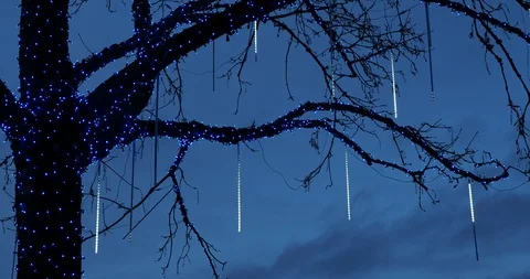 Tree decorated for Christmas Stock Footage 123169898