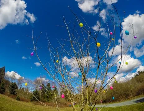 Tree decorated with easter eggs in the park on a sunny day. Stock Photos