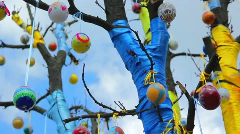 Tree decorated with eggs,Easter tree Stock Footage 37548923