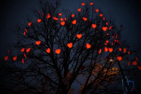 Tree decorated with heart figures. In honor of Valentine's Day Stock Photos