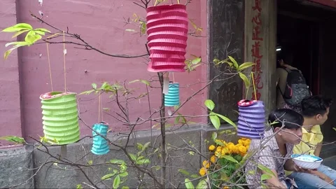 Tree decorated with Paper Lanterns, Chua Phuoc Hai Temple, Ho Chi Minh, Vietnam Stock Footage 271076714