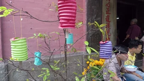Tree decorated with Paper Lanterns, Chua Phuoc Hai Temple, Ho Chi Minh, Vietnam Stock Footage 271076724