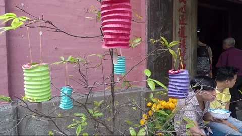 Tree decorated with Paper Lanterns, Chua Phuoc Hai Temple, Ho Chi Minh, Vietnam Stock Footage 271076756