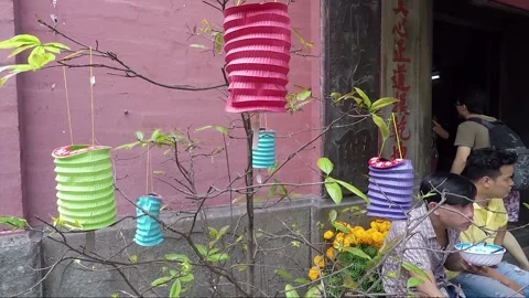 Tree decorated with Paper Lanterns, Chua Phuoc Hai Temple, Ho Chi Minh, Vietnam Stock Footage 271076757