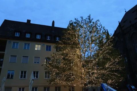 Tree decorated with string lights in front of a building at dusk Foto stock