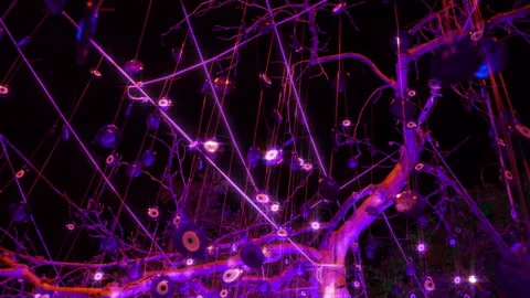 Tree decoration and evil eye beads Stock Footage 260347400