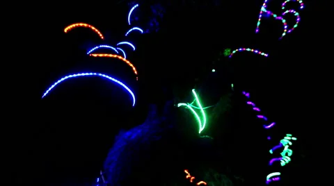 Tree Decoration Video stock 43005425