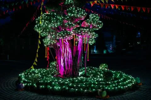 Tree decoration with lights Stock Photos