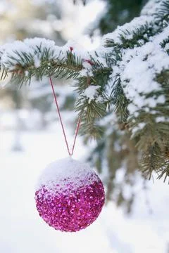 A Tree With A Decoration Stock Photos