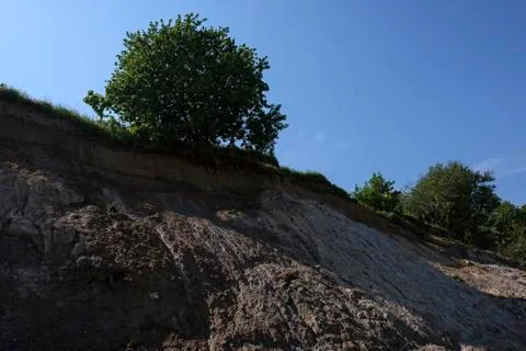 Tree on a demolition edge Photos