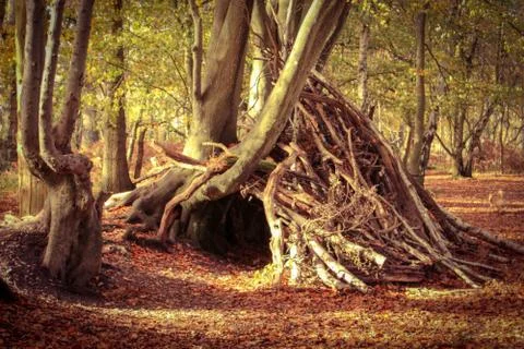 Tree den made of branches Stock Photos