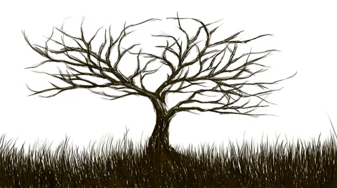 Tree with dense branches originated and developing on the grass 스톡 동영상 57294458