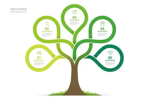 Tree Diagram Infographic Template Background 5 Step with Business Growth an.. Stock Illustration