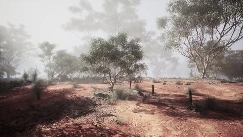 Tree-dotted Dirt Field in Australian Bush Stock Illustration