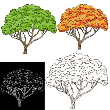 Tree drawing Stock Illustration
