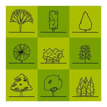 Tree drawing Stock Illustration