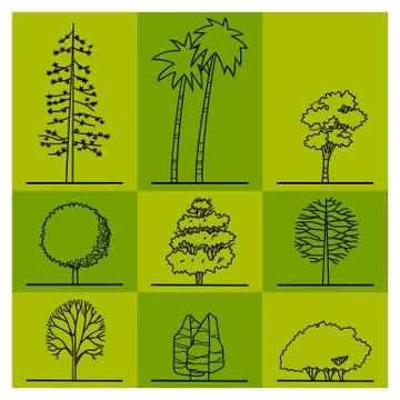 Tree drawing Stock Illustration